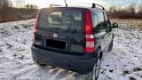 Fiat Panda mit Klima, TÜV NEU, Scheckheft, Sound - Fiat Panda: Schwarz
