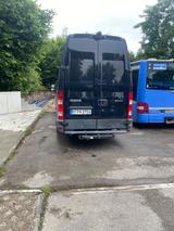 Iveco Daily 35C21  - Iveco aus 2014