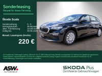 Skoda Scala - Vorschau Bild 1