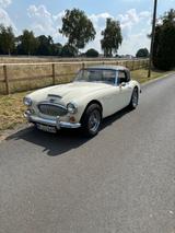 Austin Healey Andere - Austin Healey Gebrauchtwagen