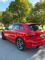 Audi SQ5 3.0 TDI tiptronic quattro - - gebrauchte Audi SQ5 aus dem Jahr 2014
