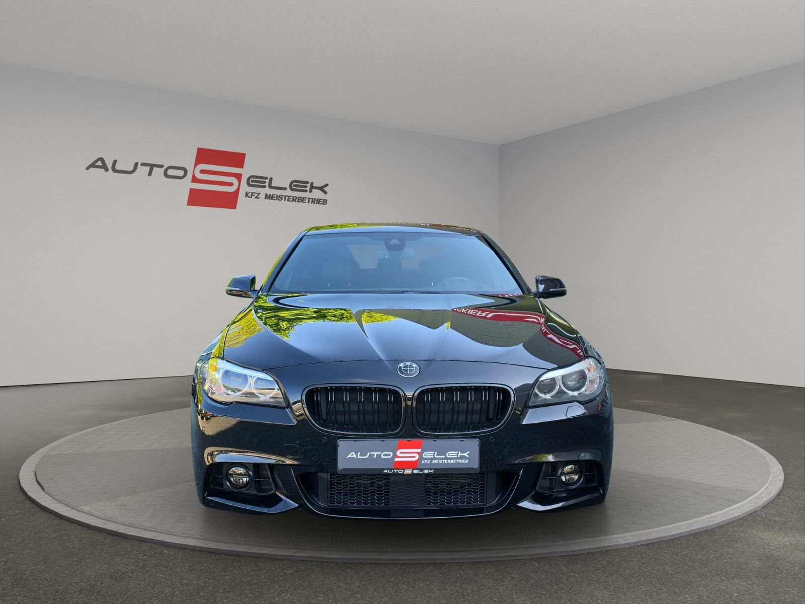 Fahrzeugabbildung BMW 530 5 Limousine 530 d  20``Zoll