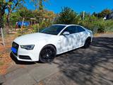 Audi A5 3.0 TDI clean diesel S tronic quattro - - Audi A5 Gebrauchtwagen in Köln