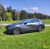 Mazda CX-30 2.0 SKYACTIV-X M-Hybrid AWD Selection ... - Mazda CX-30: Privatanbieter