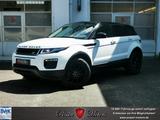 Land Rover Range Rover Evoque, AWD, Panorama, AHK, uvm. - Land Rover Range Rover Evoque in Hagen