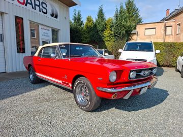 Ford Mustang Cabrio *Leder*Elektr. Verdeck*