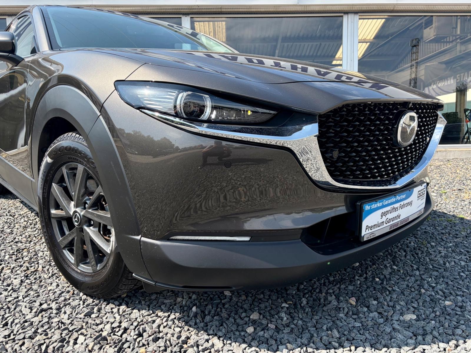 Mazda CX-30 Selection BOSE*HUD*ACC*360°KAMERA*LED*DAB