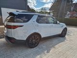 Land Rover Discovery D300 MHEV AWD DYNAMIC SE Automatik.. - Land Rover Discovery aus 2021