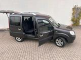 Fiat Doblo Malibu Minicamper 1,4l Benziner... - Fiat Doblo Malibu