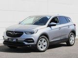 Opel Grandland X Edition 1.2 Navi AGR Bi-LED Sitzheiz - Opel: Ag