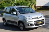 Fiat Panda Automatik 2. Hand - Fiat Panda mit Benzin-Antrieb: Kleinwagen, Automatik