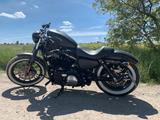 Harley-Davidson Sportster 883 Iron - HARLEY-DAVIDSON 883 SPORTSTER