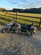 Harley-Davidson TOP +++Custom V-Rod VRSCAW Black matt+++T - HARLEY-DAVIDSON VRSCA