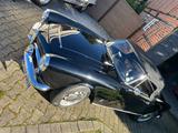 Alfa Romeo Giulia Spider 1600 - Alfa Romeo Spider 1600 Gebrauchtwagen