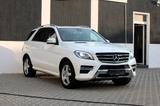 Mercedes-Benz ML 350 ML ML 350 CDI BlueTec - Mercedes-Benz ML 350 mit Diesel-Antrieb