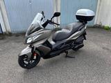 Kawasaki J300 - KAWASAKI J300