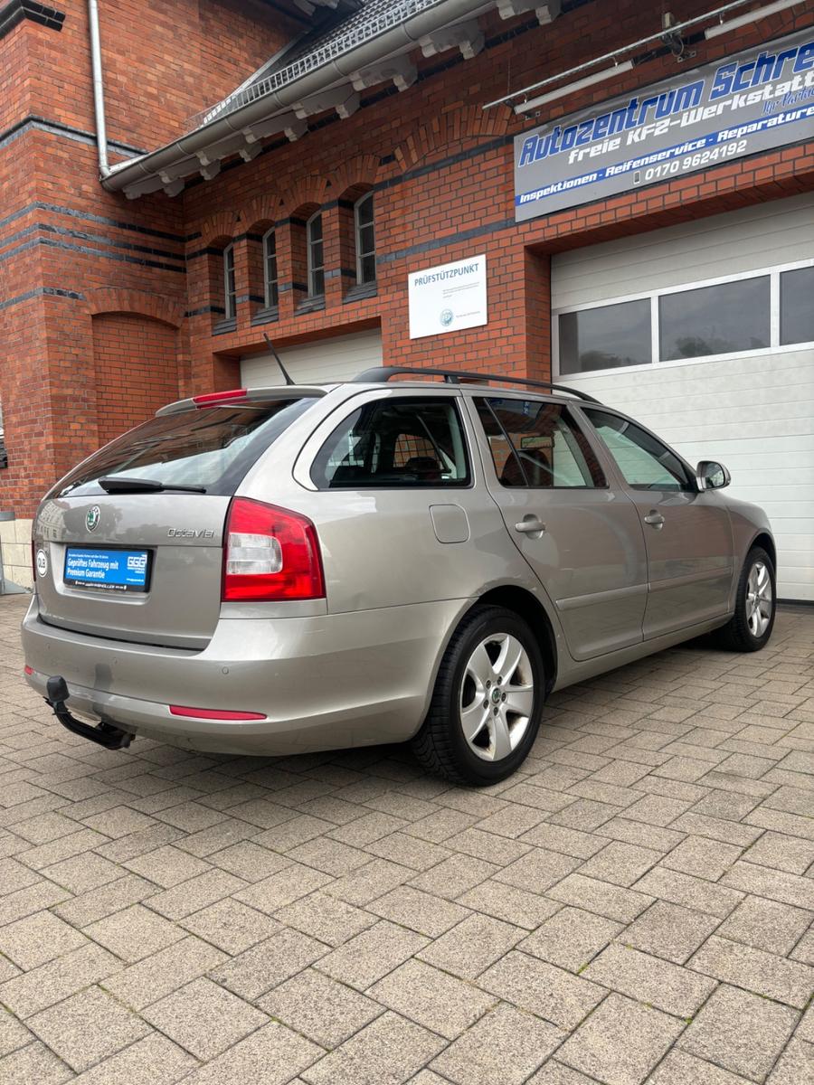 Skoda Octavia 2011 — rear view