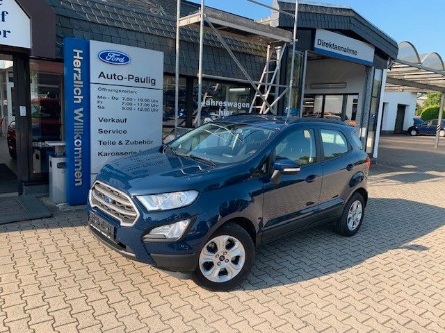 Ford EcoSport Winter Paket Park-Pilot-System