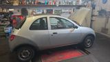 Ford Ka - TÜV 03.2027 - Ford: 03 Ka