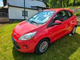 Ford Ka/Ka+ 1,3 TDCi Titanium Titanium - Ford Ka/Ka+: Ka3