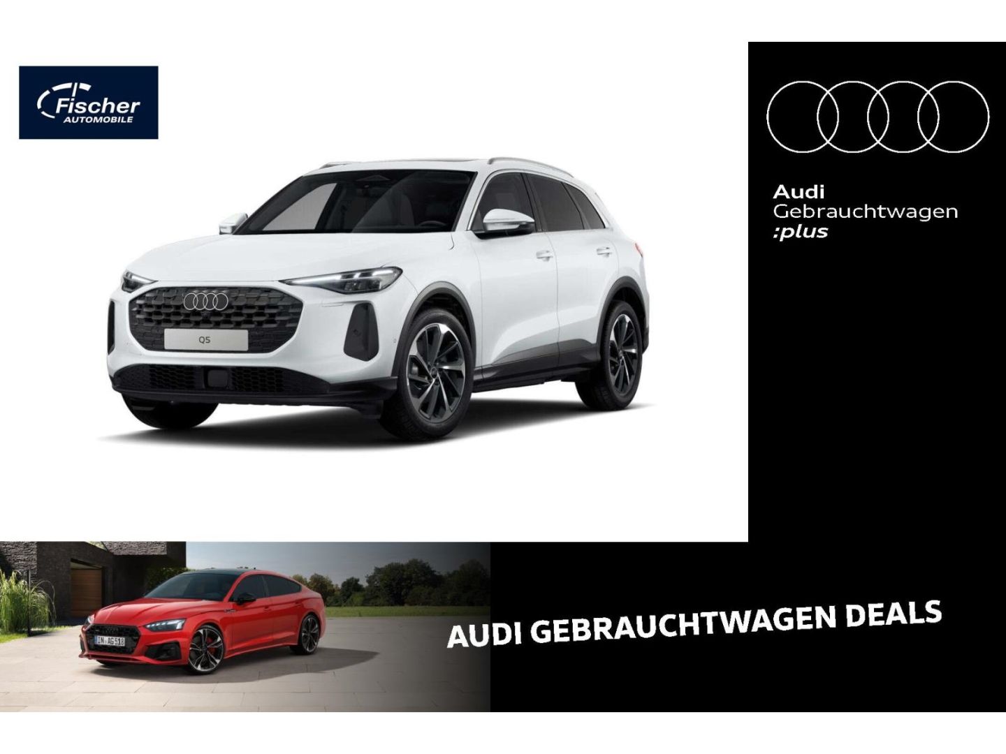Audi Q5 TFSI quattro AHK ACC P-Dach Bei.Dis 360 20'' foto 1