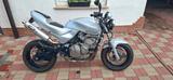 Honda Hornet CB 600 F PC 34 - Offers matching your search criteria