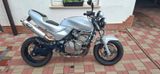 Honda Hornet CB 600 F PC 34 - Offers matching your search criteria