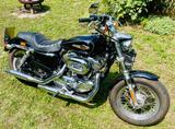 Harley-Davidson XL1200C Sportster Custom - HARLEY-DAVIDSON 2010 SPORTSTER 1200