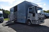 Iveco 80E15 Eurocargo *Pferdetransporter*4 - Iveco 80 e 15