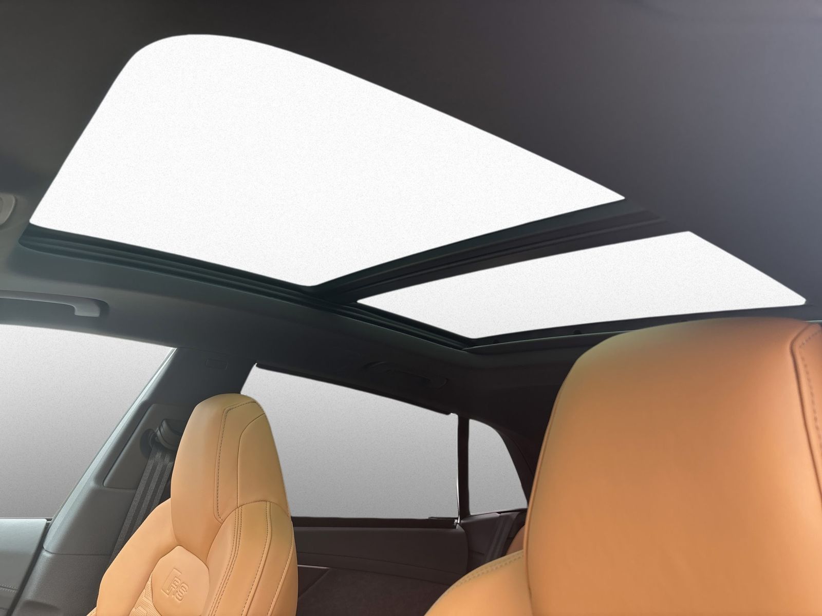 Audi RSQ8 - Bild 19