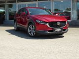 Mazda CX-30 G150 Selection Automat. Navi Alus 18" - Mazda CX-30 in Düsseldorf