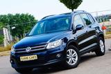 Volkswagen Tiguan Trend & Fun*DSG*1.4 TSI*1-Hand*Bi-Xenon* - Volkswagen Tiguan: Tsi
