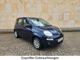Fiat Panda 1.2 Easy *KLIMA*8-FACH*GARANTIE* - Fiat Panda in Ludwigshafen