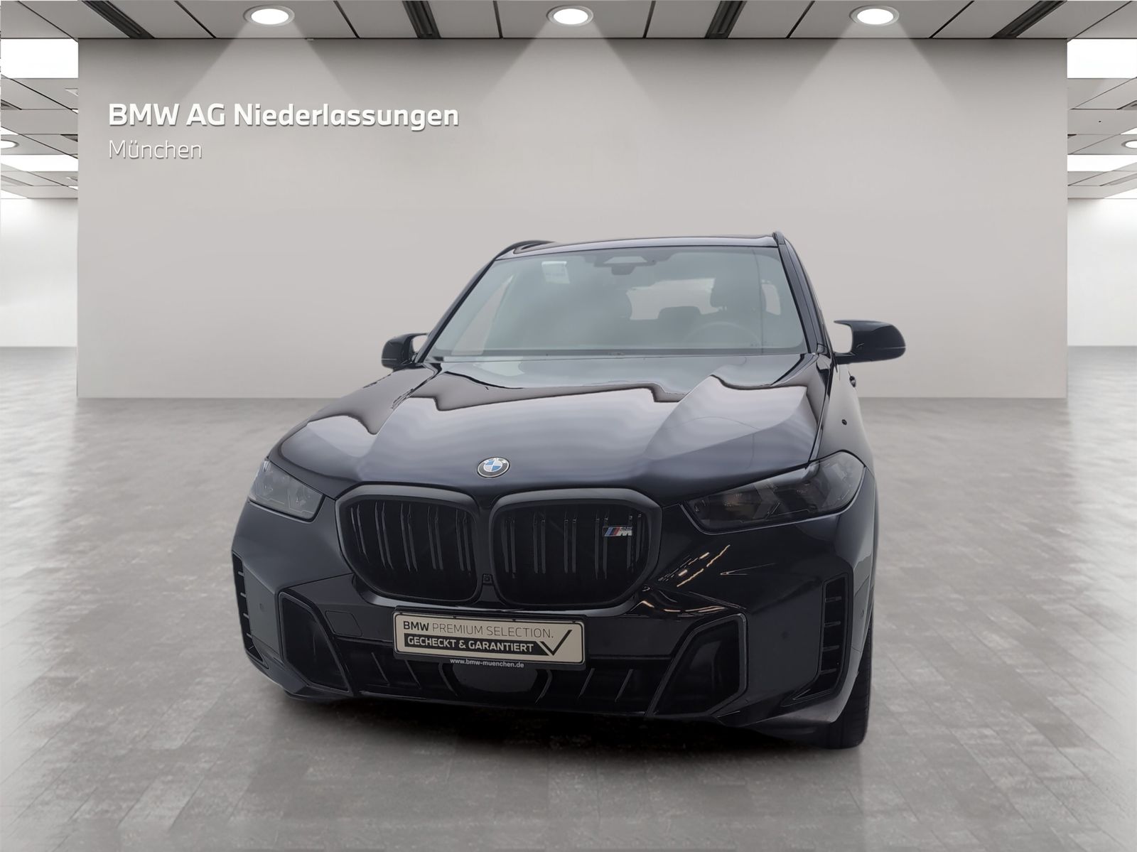BMW X5 M60 - Bild 5