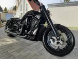 Harley-Davidson NIGHT ROD CUSTOM BLACK DOG - HARLEY-DAVIDSON BLACK