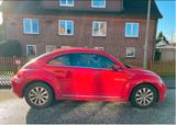 Volkswagen Käfer - Volkswagen Käfer: Rot