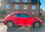 Volkswagen Käfer - Volkswagen Käfer