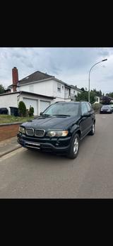 BMW E53 X5 4.4 V8 LPG  TÜV 2 Jahre - BMW X5 aus 2001: 4.4