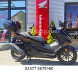 Honda Forza 350 Special Edition - Honda Forza 350 Special Edition