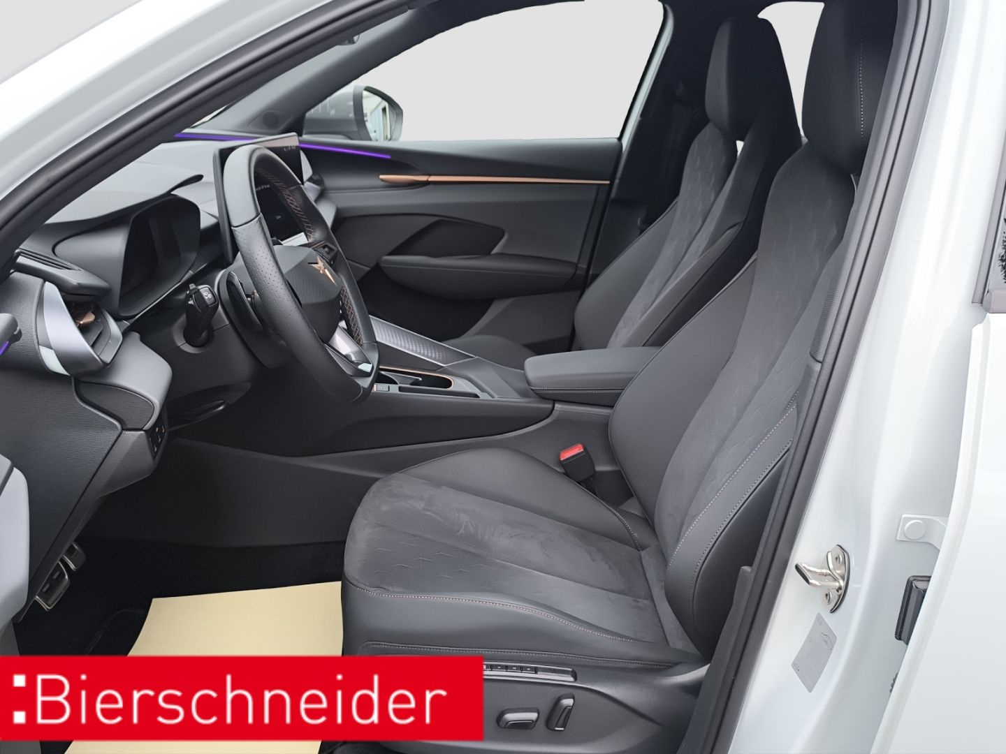 Cupra Terramar - Bild 12
