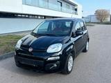 Fiat Panda 1.2/Klima/2Hand/Tüv+Service+Reifen neu - Fiat Panda in Ludwigshafen