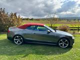 Audi A5 2.0 TDI Cabrio quattro Sport Edition S-line