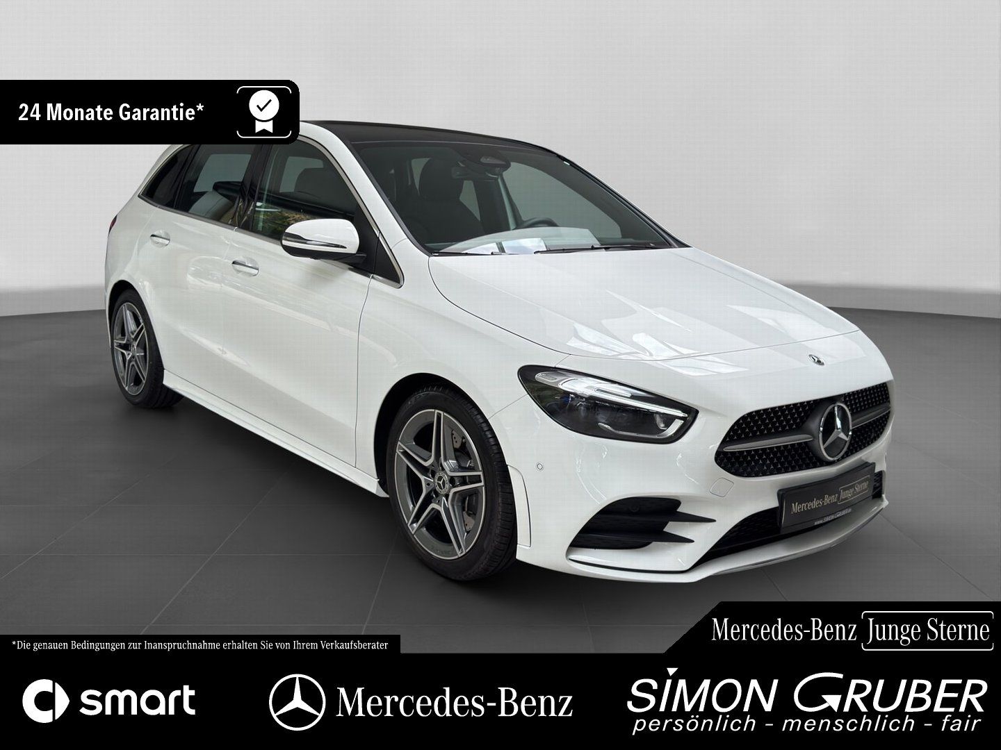 Fahrzeugabbildung Mercedes-Benz B 250 4M AMG Pano Distronic 360 Memory HUD MBeam