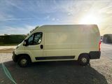 Peugeot Boxer Kasten Hochraum 333 L2H2 Pro Avantage - Peugeot Boxer: 333