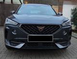 Cupra Formentor 2.0 TDI 110kW 4Drive DSG -