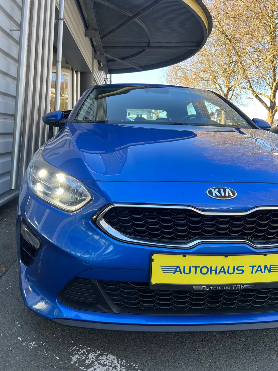 Fahrzeugabbildung Kia cee'd / Ceed 1.4 TGDI Vision * AUTOMATIK *KAMERA