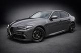 Alfa Romeo Giulia Quadrifoglio SPORTABGAS*ACC*CARBON*D.N.A.