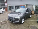 Ford Kuga Plug-In Hybrid Titanium SHZ AHK schw - Ford Kuga: Van