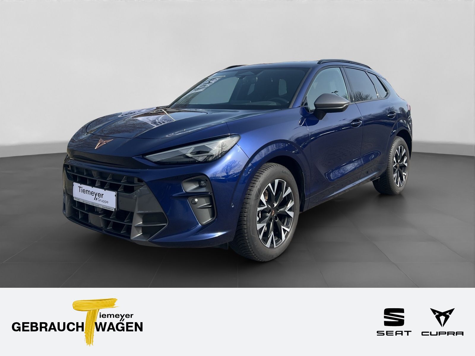 Cupra Terramar - Bild 1