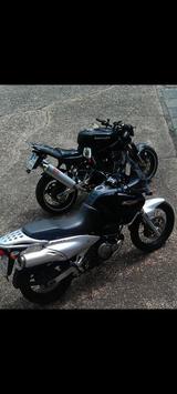 Suzuki Freewind - Angebote